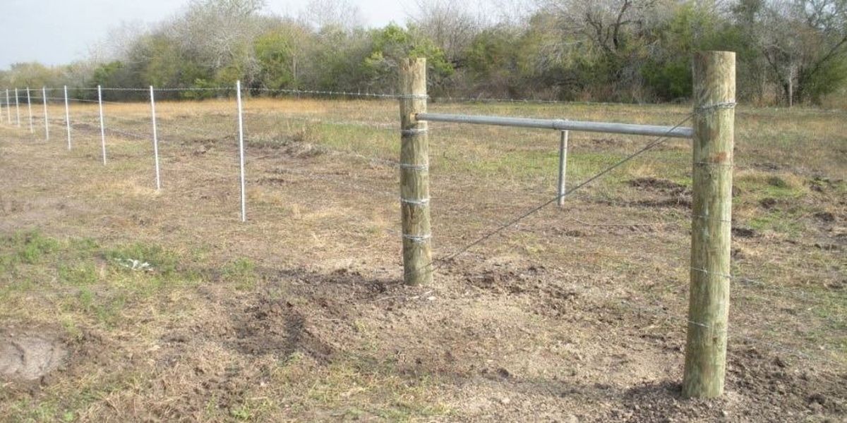 New barbed wire ranch fence with wood corner posts and T-posts